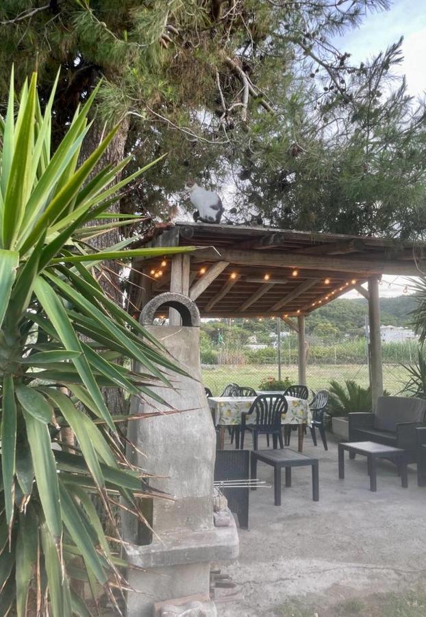 Tosk House 2 Διαμέρισμα Peschici Εξωτερικό φωτογραφία